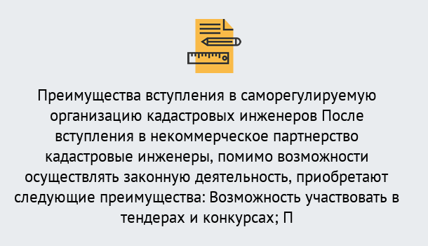 Почему нужно обратиться к нам? Нарткала Что дает допуск СРО кадастровых инженеров?