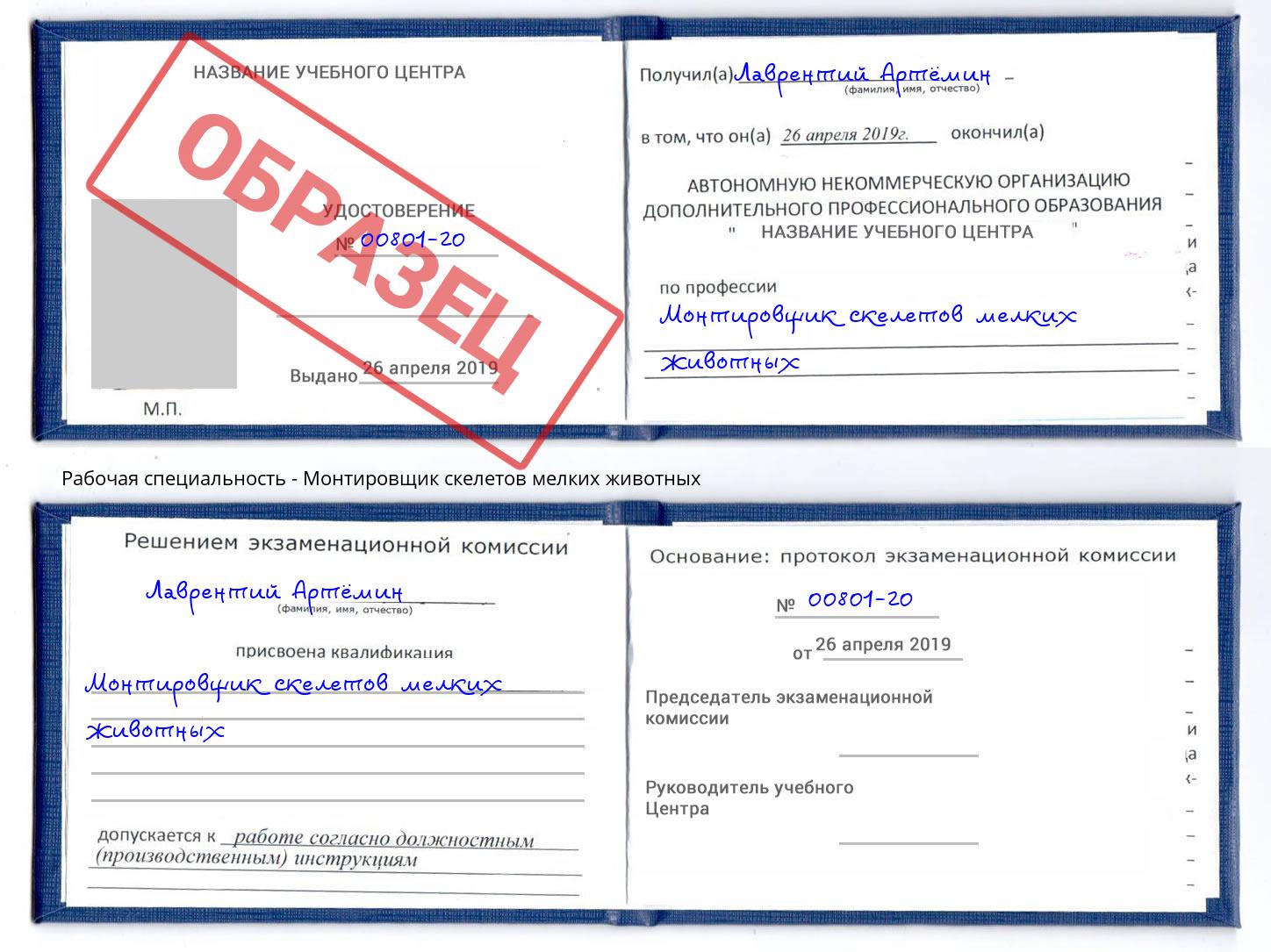 Монтировщик скелетов мелких животных Нарткала